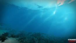Stranded Deep: Made By 2 Guys, Looks Like The AAA Survival Game You’ve Always Wanted