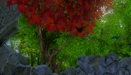 Eden River Now Available on Google Cardboard