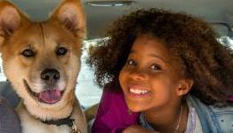5 Reasons ‘Annie’ Is A Hard Knock Disappointment