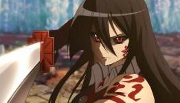 So About Akame Ga Kill.