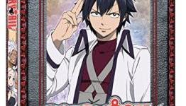 Fairy Tail Volume 12 Review