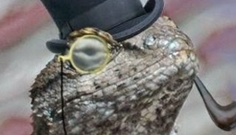 XP Earned 22 | Attack of the Lizard Squad