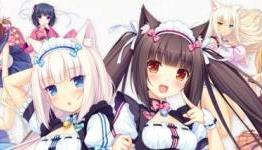 NEKOPARA Vol. 1 Review | Hardcore Gamer