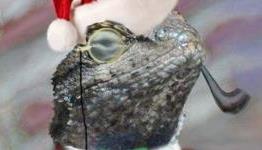 All Hail the Lizard People