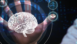 Brain+: Where Neuroscience and Game Development Converge