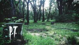 Why P.T Could Be The Best Horror Game Of 2014