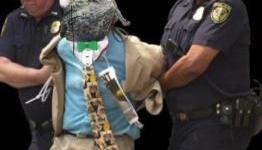 Karma bites The Lizard Squad; youths arrested