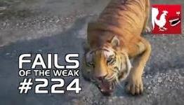 Fails of the Weak #224