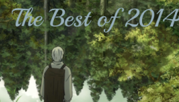 Top 10 Series – The Best of 2014 | Caraniel’s Ramblings