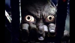 Middle-Earth On Film: A Visual History
