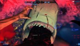 Depth Guide: Survive and Prosper as a Diver