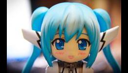 What is Waifu? Why have Waifu?