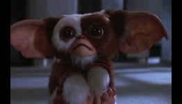 Gremlins Remake Runs Out Of Steam