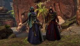 Guild Wars 2: New Gems Store Items