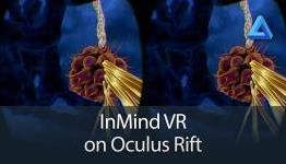 The Rift Arcade – Hands on with InMind VR on the Oculus Rift