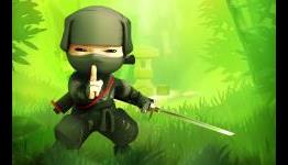 Amazing Ninja Walkthrough [Guide]