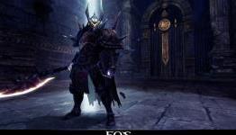 Echo of Soul Preparing for Launch