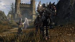 Neverwinter Oathbound Paladin
