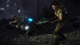 The Theory of (Game) Evolution