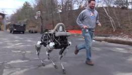 Robot dog built by Boston Dynamics can climb up stairs and recover from kicks