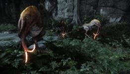 Evolve Review – STN