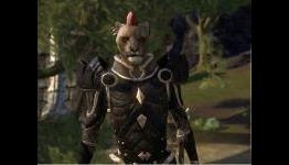 Which MMO NPC Would You Take On A Date?