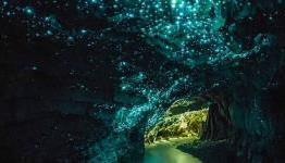 Glowworm Cave Looks Like A Scene From Fallout