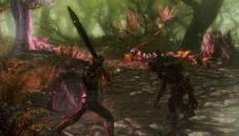 Bethesda Recently Interviewed Modders SureAI About Their upcoming Skyrim mod, Enderal