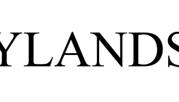 Bohemian Interactive files trademark for YLANDS