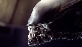 New ‘Alien’ Movie Confirmed with Director Neill Blomkamp