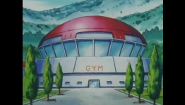 Top 10 Pokémon Gym Leaders
