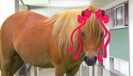 Hatoful Boyfriend Inspired Someone To Make A Horse Dating Sim