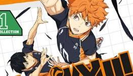 Sentai Filmworks Reveals Tentative June 2015 Anime DVD/BD Packaging
