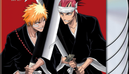 Bleach Season 2 Review| Geeks Under Grace