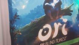 Ori and The Blind Forest Review – Gamer-Network.fr