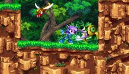 Freedom Planet Announced for Wii U
