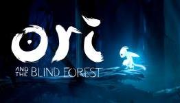 Patch Coming to Address Ori and the Blind Forest Crashes