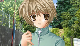 Clannad Translation Is 25% Done, Says Sekai Project