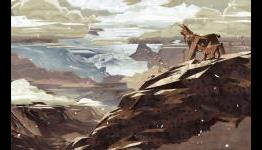 Shelter 2 Review | IlVideogioco