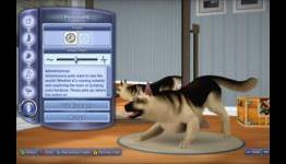8 Video Games Dog Owners Will Enjoy