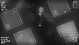Noct Delivers a Scary Top-Down Survival Game | Trust in Play