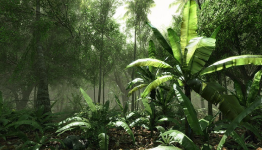 Crytek: ‘VR has a transformation power’