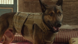 War Dog ‘Max’ Trailer Hits the Web