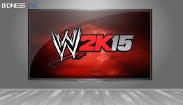 Was Take-Two Interactive Software, Inc. 2K Sports WWE 2K15 A Financial Success?