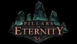 Pillars of Eternity Review | PC Gamer