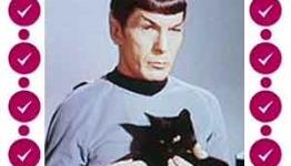 100 Pics Cat Lovers Answers
