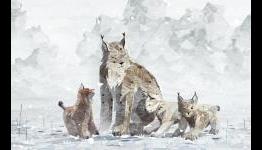 Shelter 2 review – APG nation