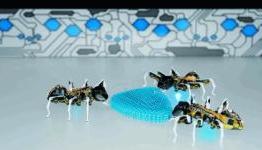 Bionic ants could be tomorrow’s factory workers