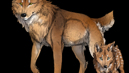 A Closer Look at Wild Howlz