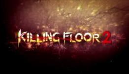 MrFantomena: Killing Floor 2 Preview Impression